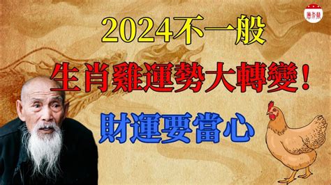 生肖雞顏色|2024年運勢大揭秘：生肖雞的幸運數字、顏色和貴人你都知道。